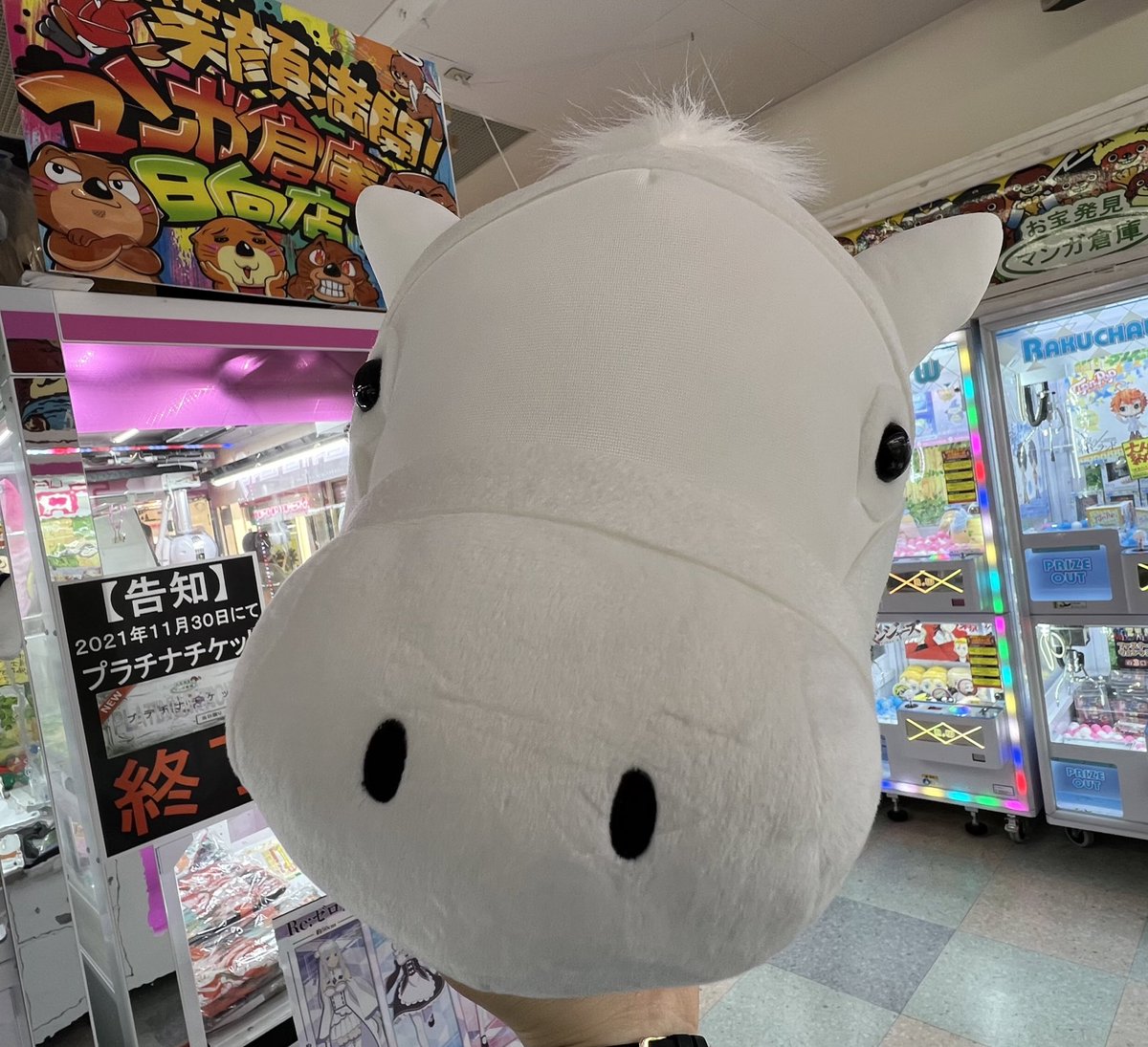 マンガ倉庫日向店アミューズ on X: 