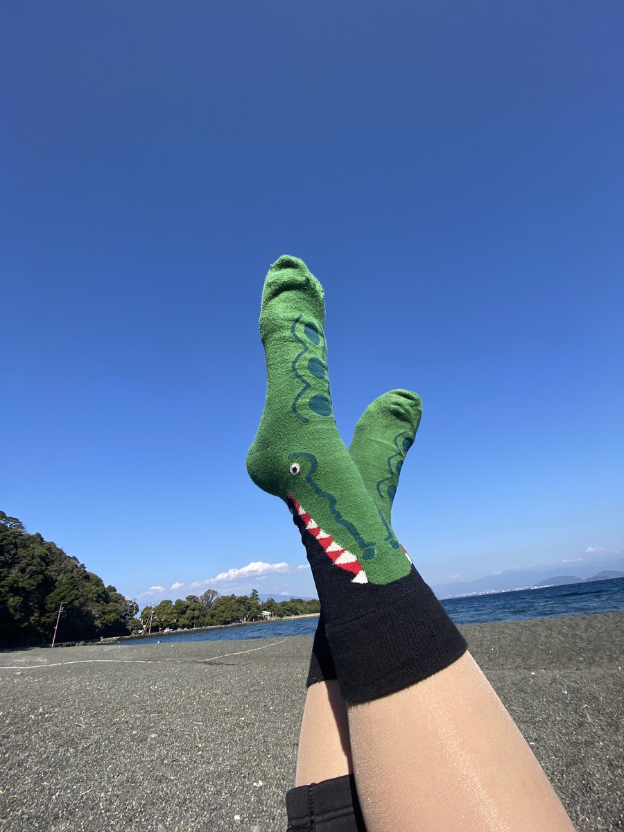 LalahMermaid's tweet photo. お天気良いね〜 #大瀬崎 は透明度良くないけど🤣海の中は気持ちいいな🌊
#ダイビング
#dm講習
#ダイビングマスター
#ダイマス
#diving
#divingmaster
#靴下
#uniquesocks https://t.co/9WKTI7pLYG