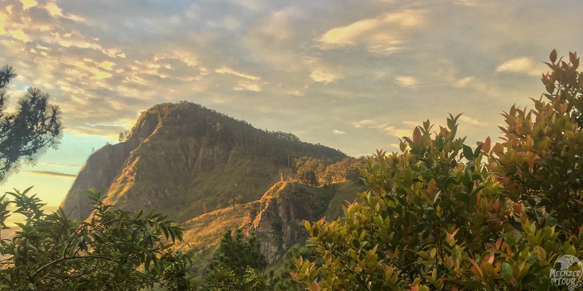 meenzer_on_tour's tweet image. Ella war mal das Backpacker-Ziel in den Bergen Sri Lankas. 20 Monate waren keine Fremden da. Langsam kommen die Reisenden (unter 2G+ Bedingungen) zurück und die geimpften Mitarbeitenden sind darüber mehr als glücklich. #ella #littleadamspeak #ellarock