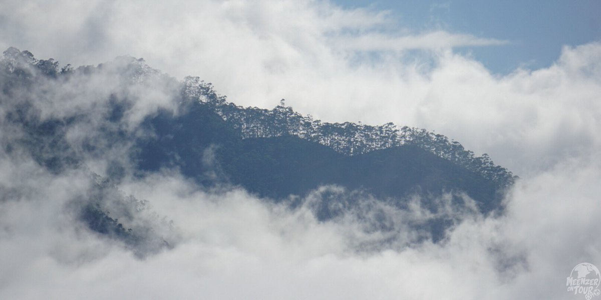 meenzer_on_tour's tweet image. Ella war mal das Backpacker-Ziel in den Bergen Sri Lankas. 20 Monate waren keine Fremden da. Langsam kommen die Reisenden (unter 2G+ Bedingungen) zurück und die geimpften Mitarbeitenden sind darüber mehr als glücklich. #ella #littleadamspeak #ellarock