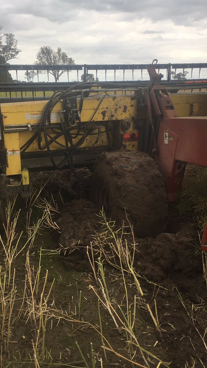 Do they make a 4wd version of these things #bogged