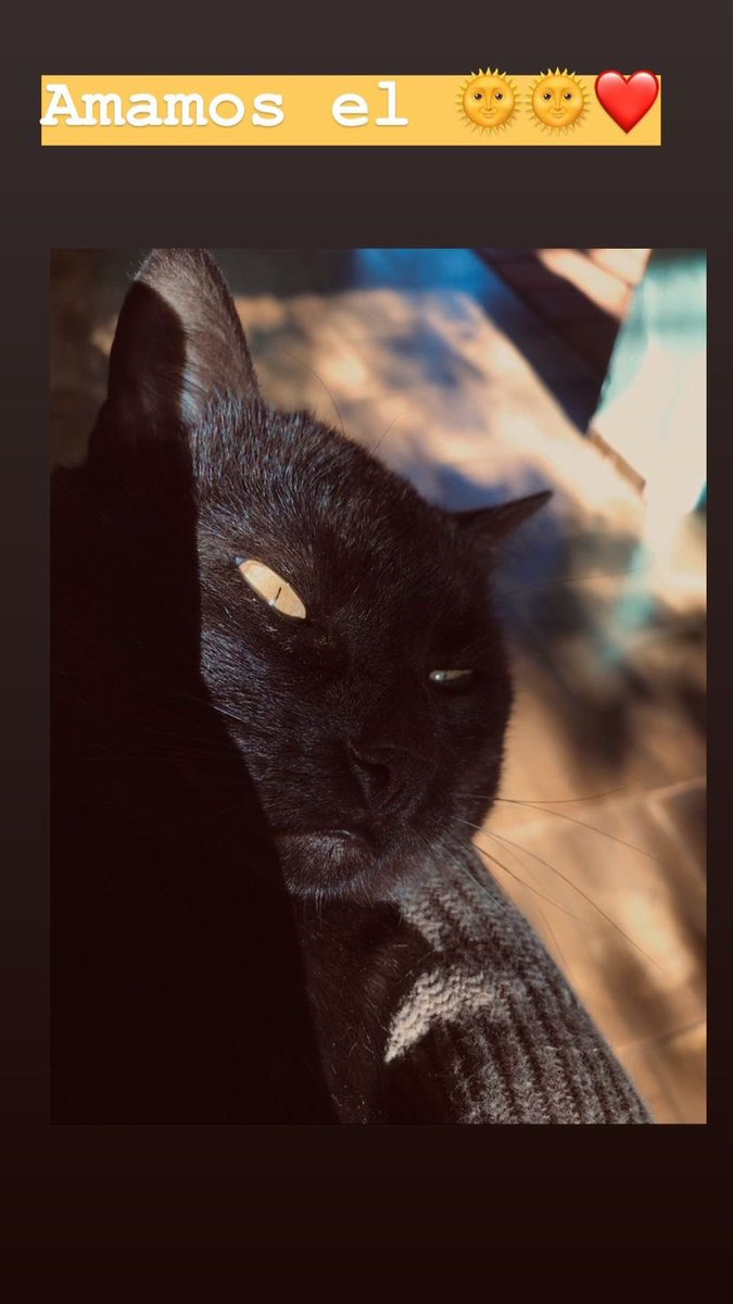 mariagverad's tweet photo. Me quedo con tu recuerdo y con todo el amor que nos tuvimos , no esperaba que nuestra despedida fuera tan dolorosa y ojalá que las personas que te hicieron tanto daño paguen en algún momento por todo el dolor que generaron en vos , te amo y te guardo en mi corazón 🖤 https://t.co/busKFT4Hcc