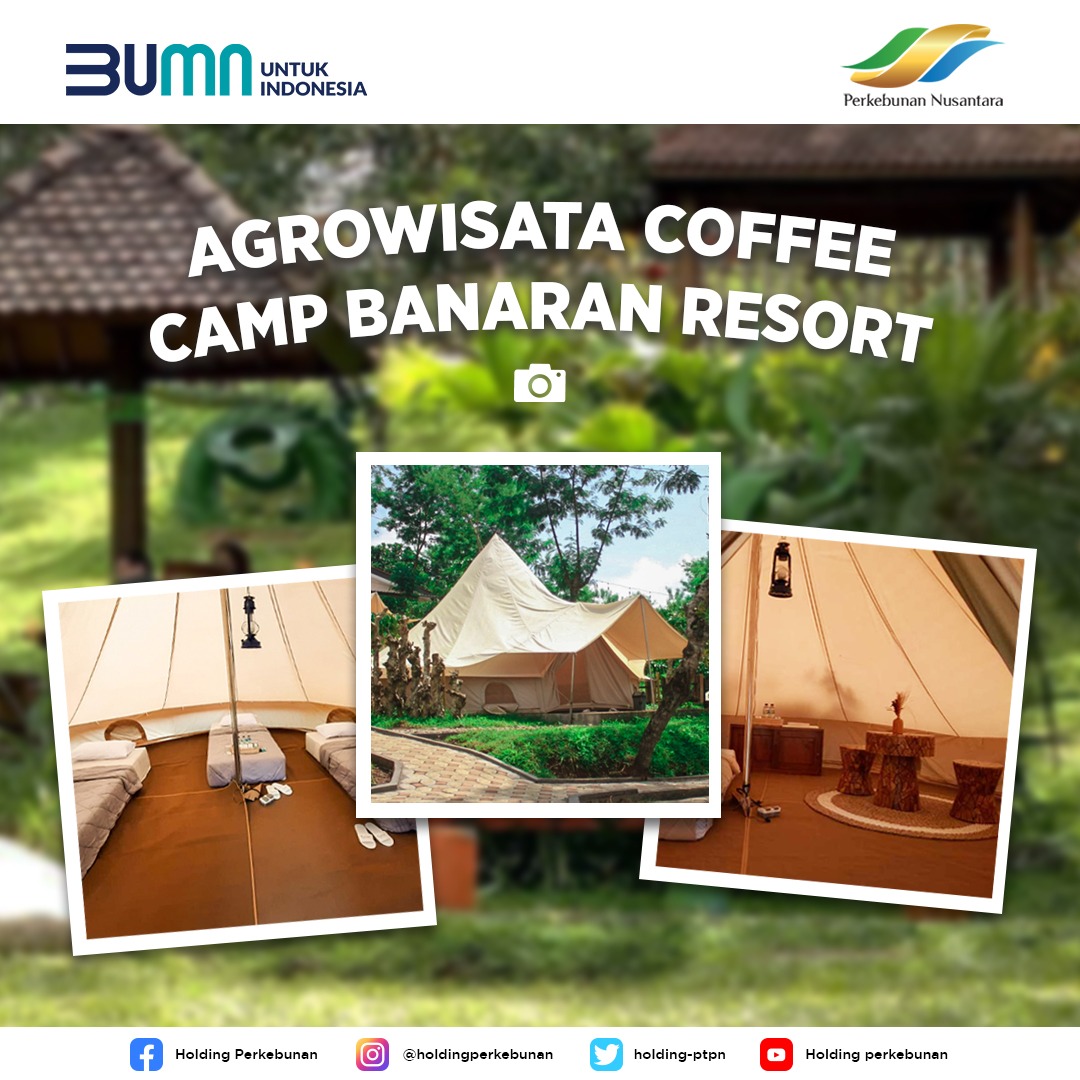 Glamping Banaran Coffee Camp 