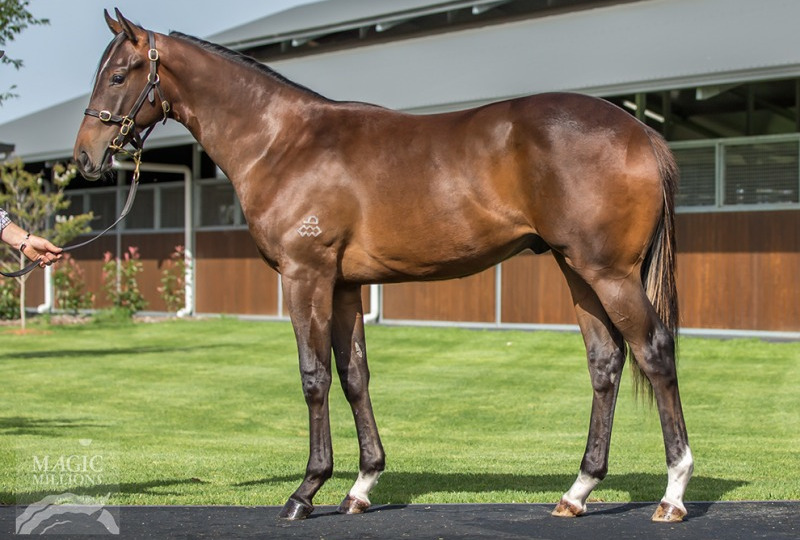 Arrowfield Stud (@arrowfieldstud) on Twitter photo So proud of our 2019 <a href="/mmsnippets/">Magic Millions</a> graduate Count de Rupee (Real Impact-Timeless Choice)! Robert & Luke Price & his owners were so excited to buy him from us for $145k <a href="/mmsnippets/">Magic Millions</a> 2019 & even more excited now, after a Golden Eagle 2nd, The Gong win & $2.4m earnings - congrats all! So proud of our 2019 <a href="/mmsnippets/">Magic Millions</a> graduate Count de Rupee (Real Impact-Timeless Choice)! Robert & Luke Price & his owners were so excited to buy him from us for $145k <a href="/mmsnippets/">Magic Millions</a> 2019 & even more excited now, after a Golden Eagle 2nd, The Gong win & $2.4m earnings - congrats all!