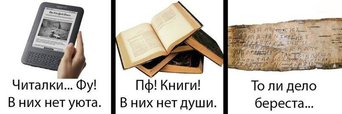 owlann tweet picture