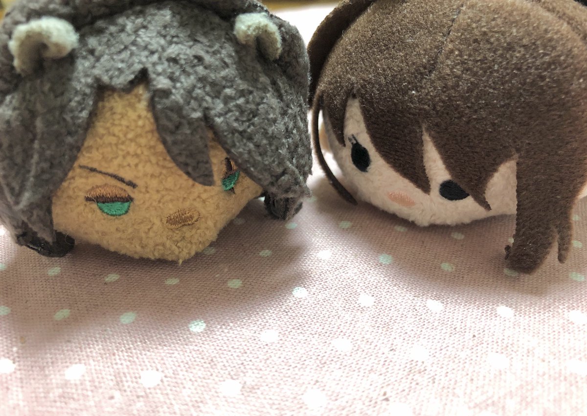 grrr_twst's tweet photo. さばなの仲間に入れてほしそう

 #iszドール遊び https://t.co/NaJZphThNP