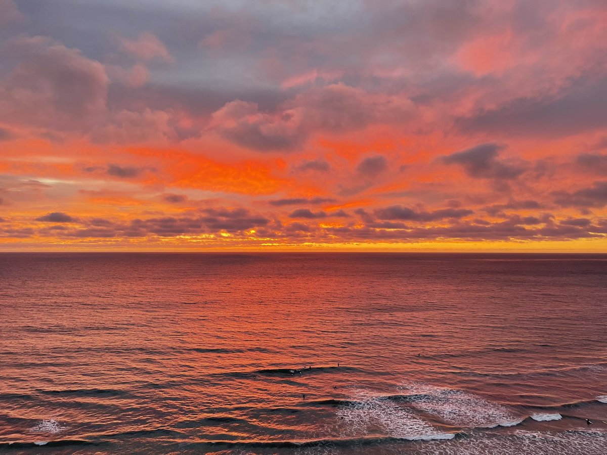 Tracy Stanaway tweet media