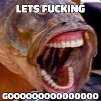 ShiniSaba's tweet photo. @deadavatars LETS FUCKING GOÒOOOOOOO https://t.co/Ath0QWufWZ