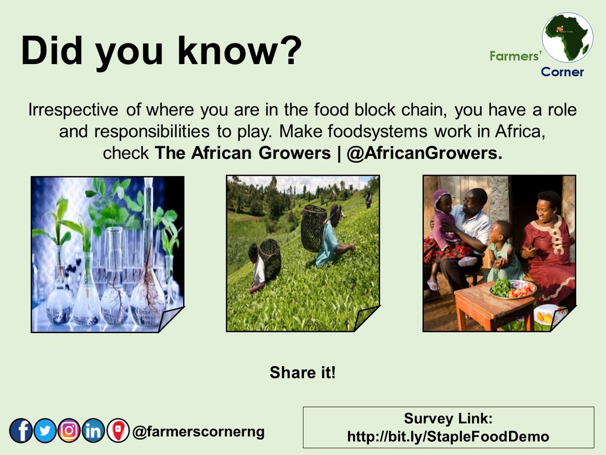 farmerscornerng's tweet photo. #DidYouKnow?

Irrespective of where you are in the food block chain, you have a role and responsibilities to play. Make @foodsystems work in Africa.

Let's have your contribution through survey link: https://t.co/S1GgofDQ2k. #foodblockchain #foodvaluechain #food #farmerscornerng https://t.co/D5EJE6myZ0