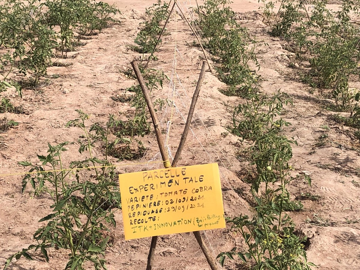 Edah Clement tweet media