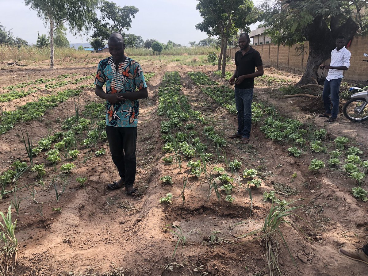 Edah Clement tweet media