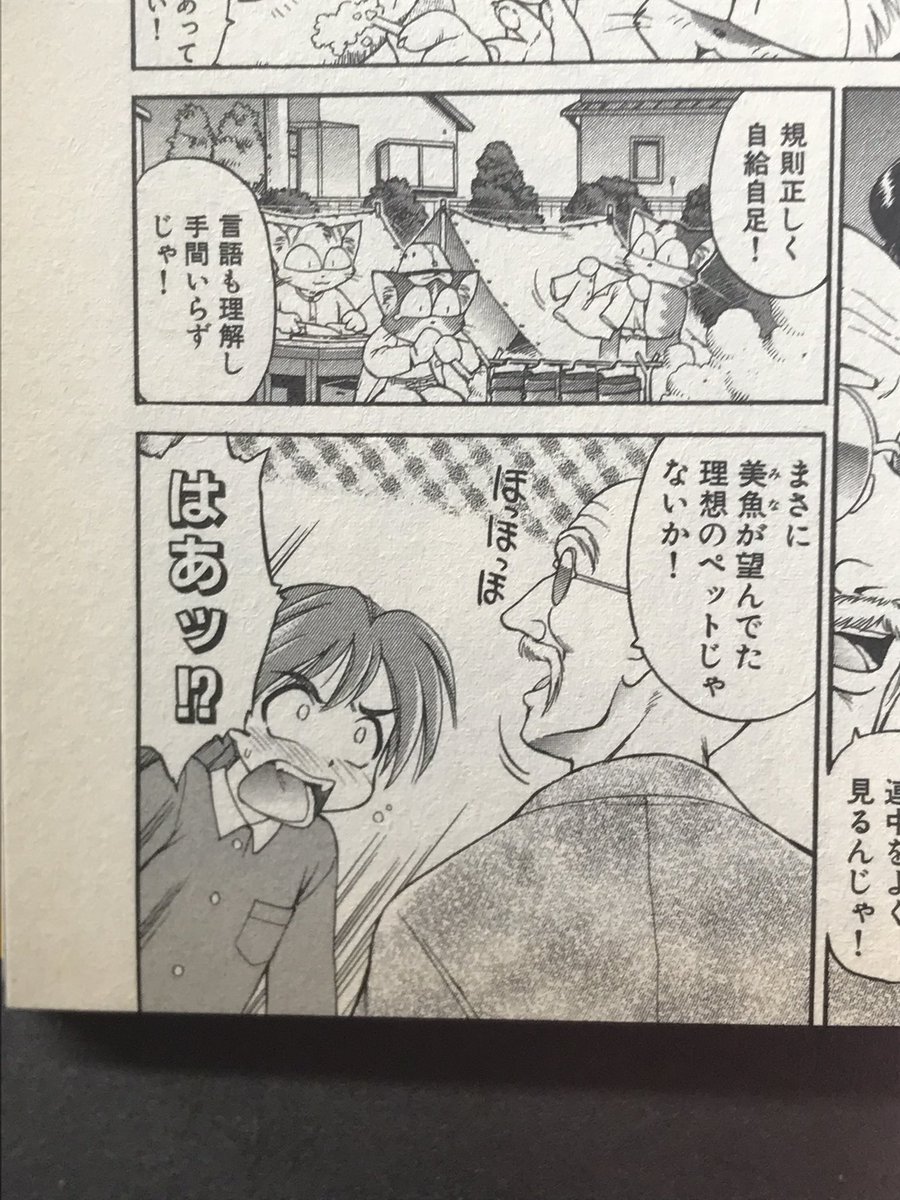 「世話が結構大変だから半端な気持ちで猫を飼ってはいけない」と親に言われ。手間のかからぬ丈夫な猫が欲しいと願った結果、屈強な猫の兵隊達が庭で自活を始めちゃった漫画が「ねこだま」である。>RT 