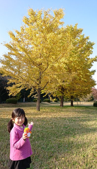 杉山穂乃果のTwitter画像34