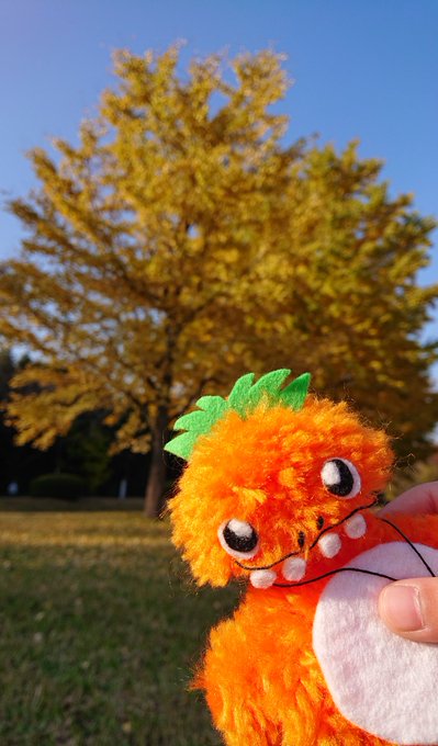 杉山穂乃果のTwitter画像35