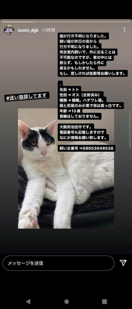 kanchimlv's tweet photo. 友達の猫が行方不明になりました。
室内での飼い猫なので、外には出たことないそうです。
友達の大切な家族ですので
拡散ご協力お願いします！

#拡散希望
#拡散希望RT協力お願い致します
#拡散希望RTお願いします 
#迷い猫 
#猫好きさんと繋がりたい 
#猫 https://t.co/SX1BM7BTKD