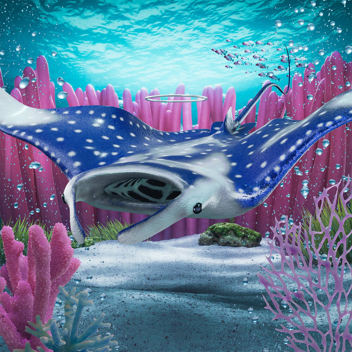 CryptoJosh25's tweet photo. Just minted my 2 first ever NFT'S! What do you all think about these? Go check them out! @SolAquariums 
 https://t.co/ZYdjyZJ6Ji https://t.co/lBsmh5kW9l