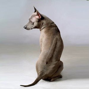 <a href="/ssunlai/">ssunlai desuyo</a> หลังอาน เสียงมีเบส ก็ตรงนะ 😂