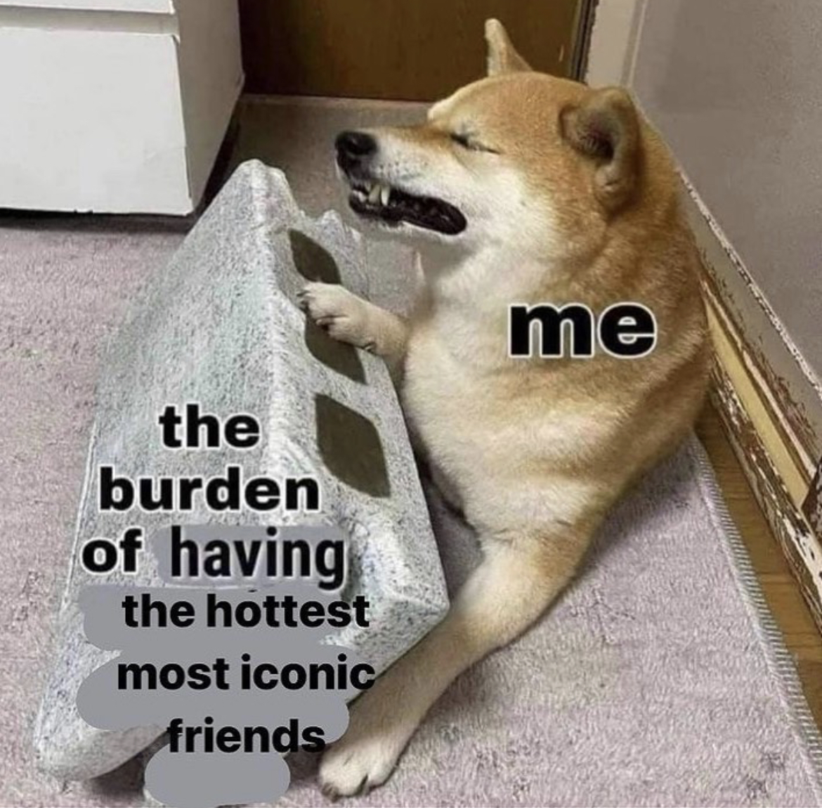 RespectfulMemes tweet picture