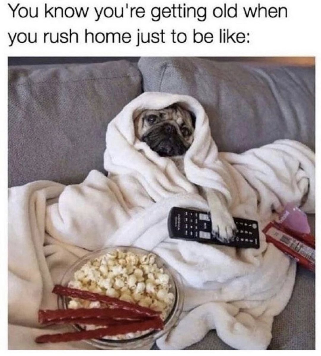 Respectful Memes (@respectfulmemes) on Twitter photo 