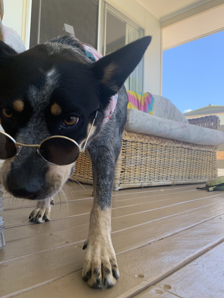 erinsemmler's tweet photo. It’s called fashion sweetie, look it up. #farshun #goodgorl https://t.co/VTi9lY4Ncf