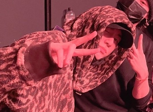 X 上的jk updates ☆ (slow)：「jungkook in his leopard print hoodie, he's the  coolest https://t.co/AI0cSOKOkg」 / X