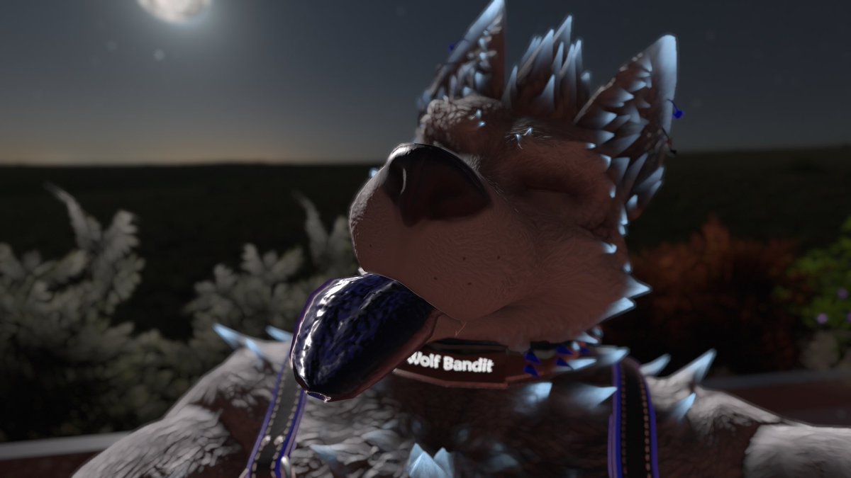 WolfBandit84's tweet photo. Awwwooooooo. Heh moon 🌝 #vrwolf #vrfurry #vrchat https://t.co/YeGhMiV3Oz