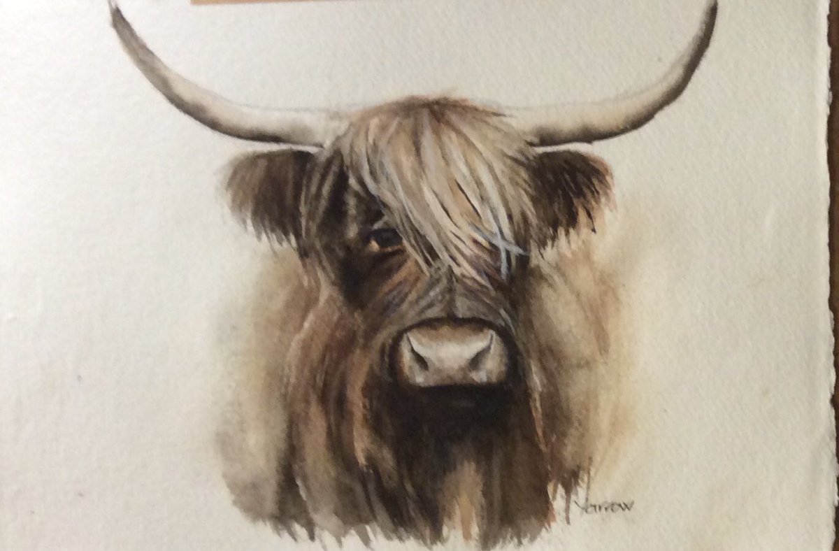 Morning  #EarlyBiz and #ArtGiftsDay. 1st Christmas market today and panicking slightly. Wish me, Henry hare and hunky Highland Hamish luck🎄🤞😉. #UKGiftAM #HandmadeInUK #Christmas #gifts #art #MHHSBD #shopindie #supportthemakers #originalart #handmade #painting #Scottishartist