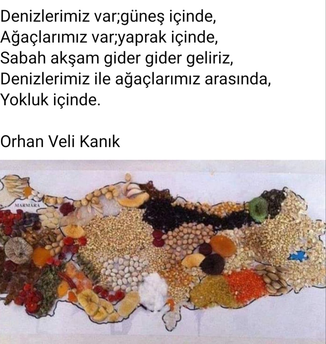 ismailsem1907's tweet photo. Bu güzel ülkemin herşeyini yok edip, insanları açlığa, sefalete sürükleyenler, #Alısacaksınız diyor utanmadan😕 https://t.co/WQBX8HVOZo