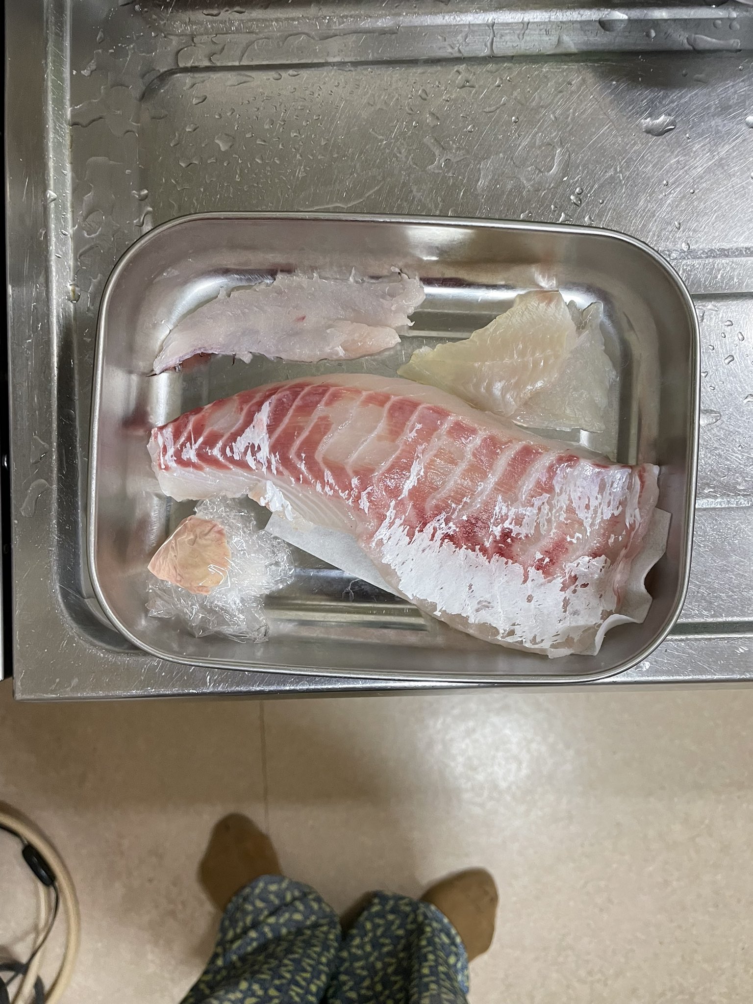 坂口恭平 今日の夜の刺身セット 鯛 トラギス カワハギ 肝付き T Co V7emfn4j7b Twitter