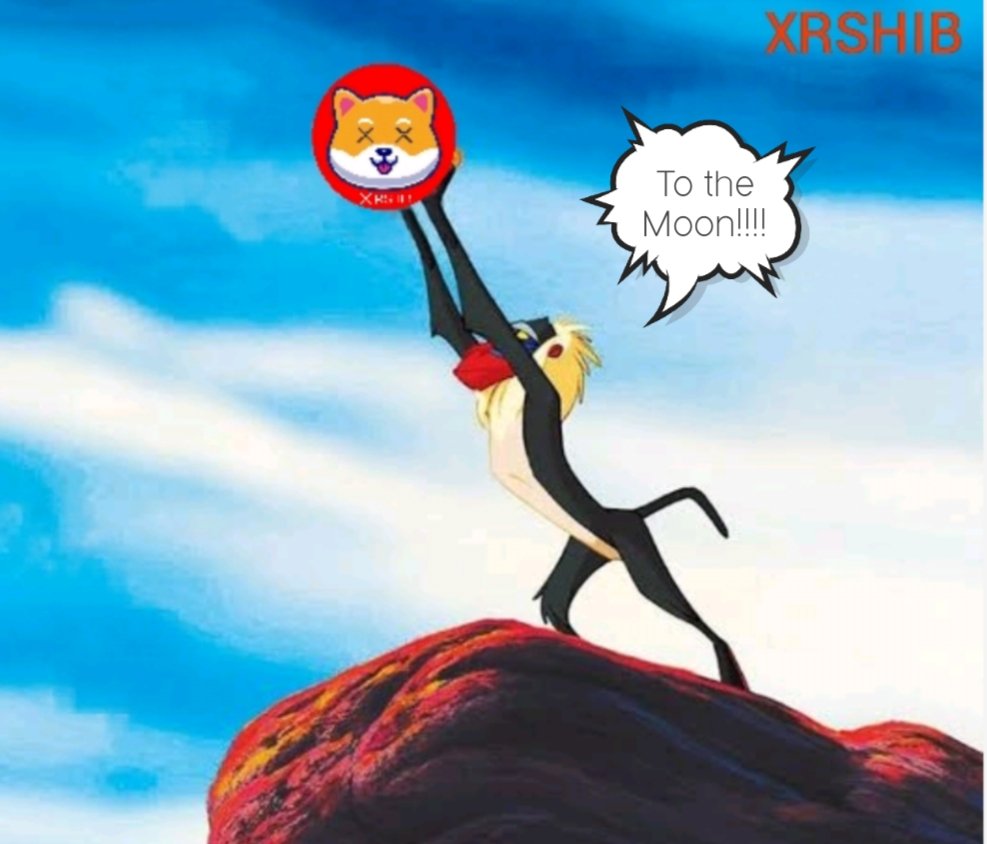 SHIB · Powered by the XRP Ledger tweet media