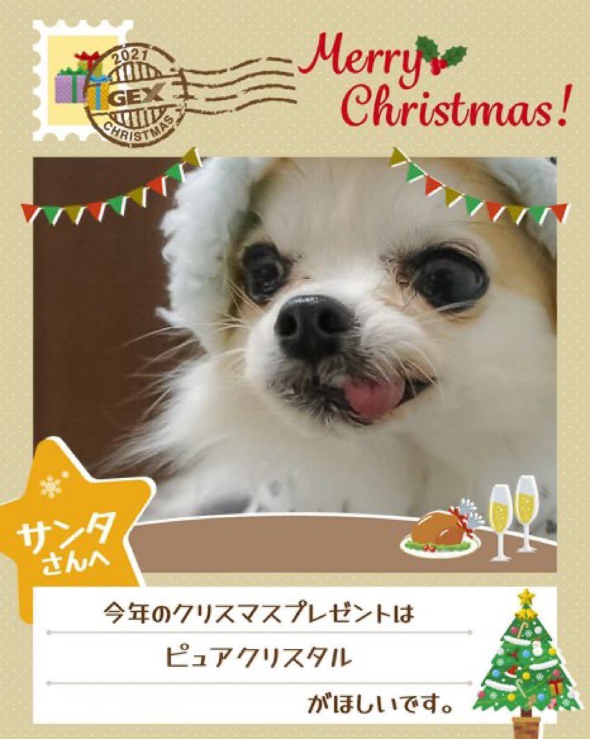 تويتر Minmin على تويتر Gexクリスマス ピュアクリスタル クリアフロー犬用ホワイトが欲しいですー T Co Opd1no6ko8