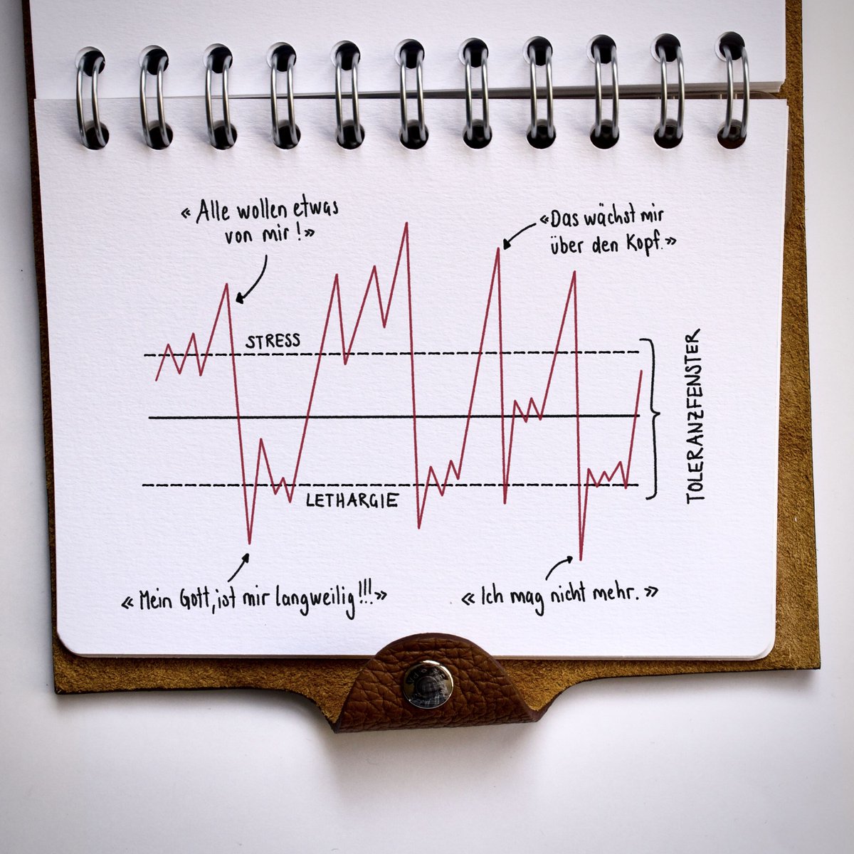 Wenn wir uns erschöpft fühlen, aber wissen, wo und wie wir Erholung finden, befinden wir uns innerhalb des Toleranzfensters. Wenn wir vor Erschöpfung so müde sind, dass wir nicht mehr einschlafen können, sind wir ausserhalb. #toleranzfenster #stress #topmodels