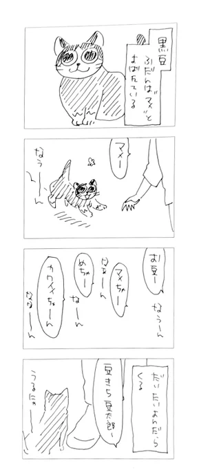 黒豆としぶき。 