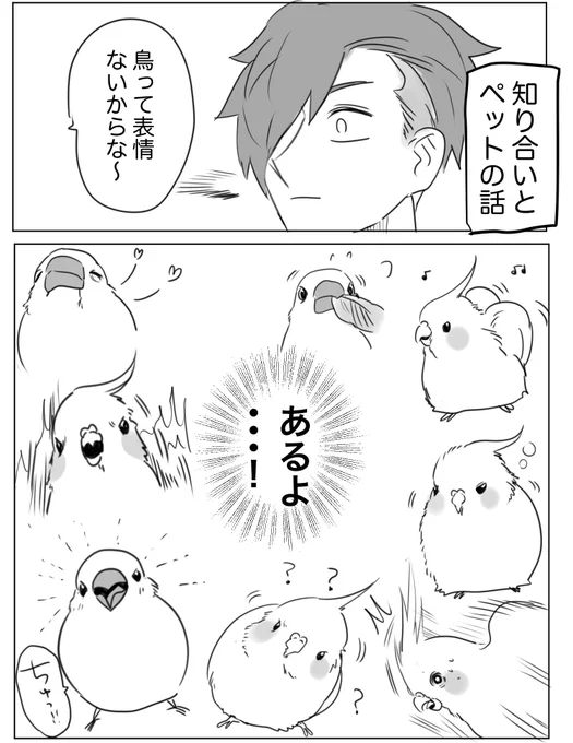 鳥飼いの気持ち 