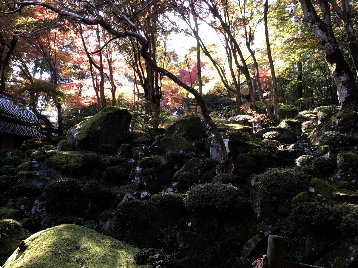 take36157175's tweet photo. 近江八幡　教林坊
まだもうちょっと紅葉は早かったかな。
明日京都行こ。。 https://t.co/uAELlxN4ea