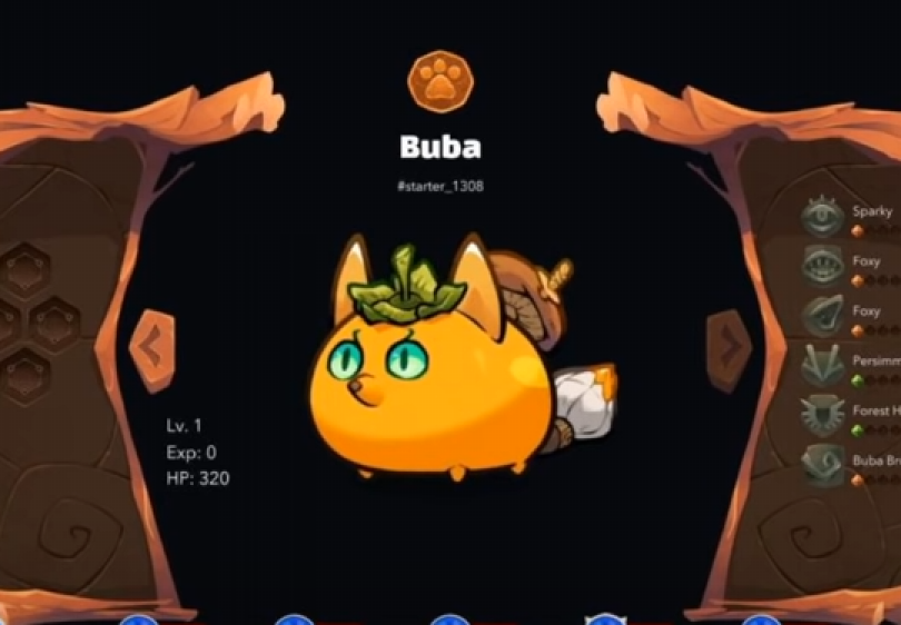 John Loise Pechon Wen V2 Puff And Buba Armed With Sword Curiousity And Courage Our 2 Axies Are Now Ready To Explore Lunacia What Challenges Awaits Them