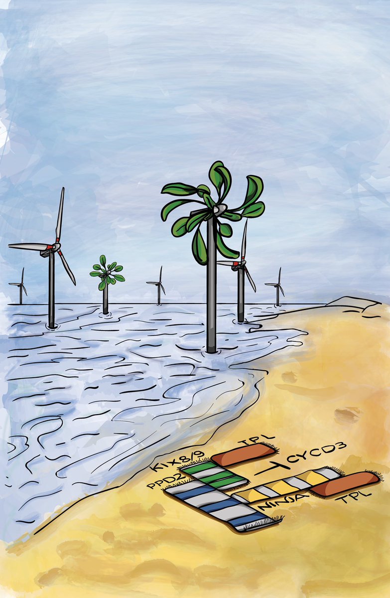 JasmienV3's tweet photo. @OdedRechavi Rejected for this awesome paper: https://t.co/xv0cLIxvEt https://t.co/RCAtXudnwj