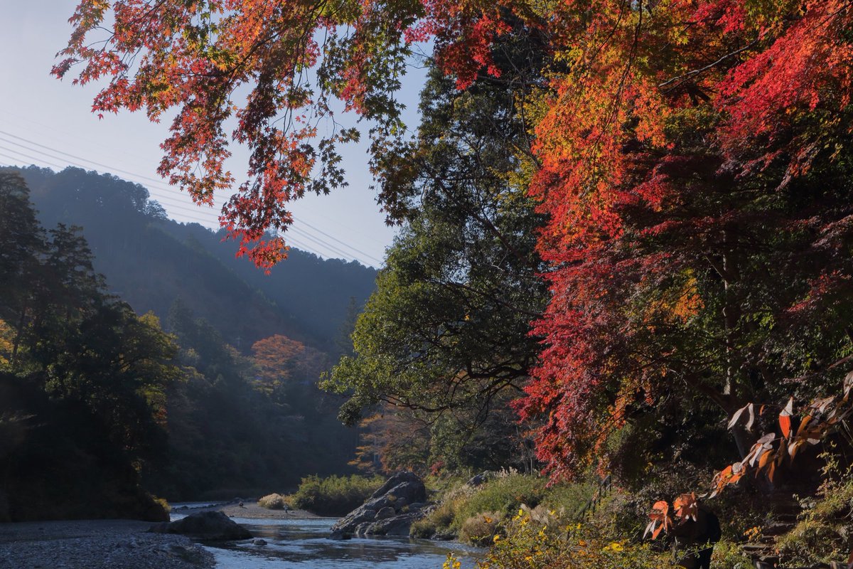 こばと。 (@__kobato) / Posts / X