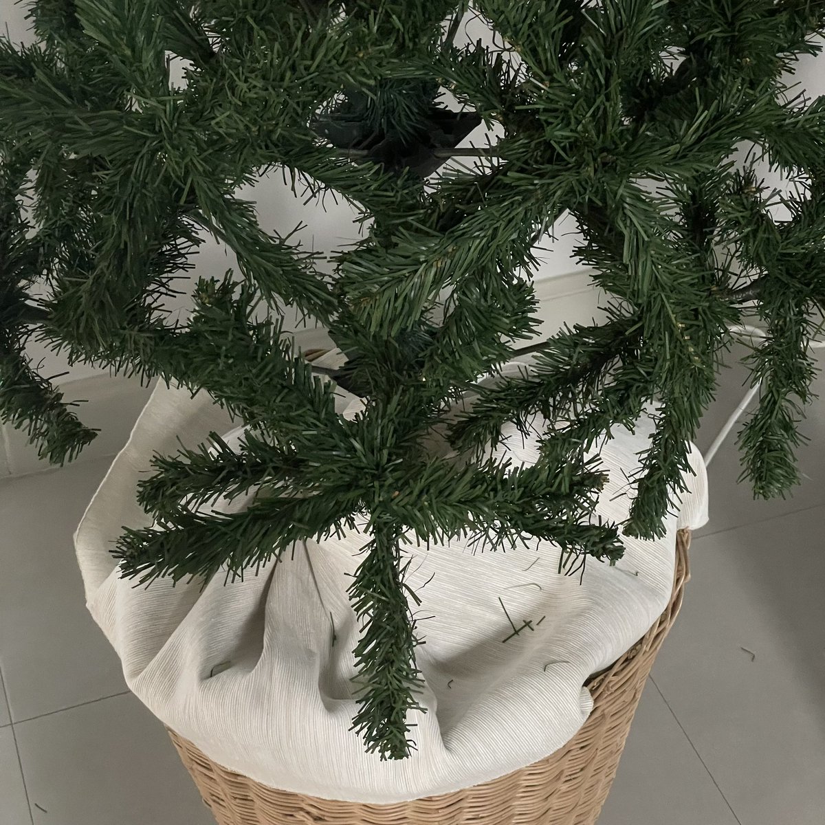 ready for christmas🌲🎄