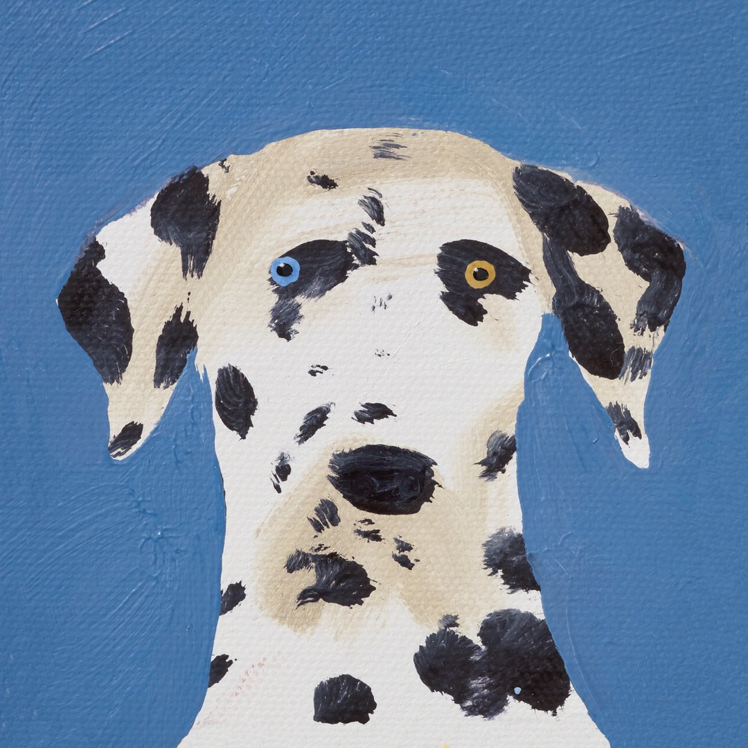 Look at that face! Don't forget to come in and see DOG if you're walking past today.