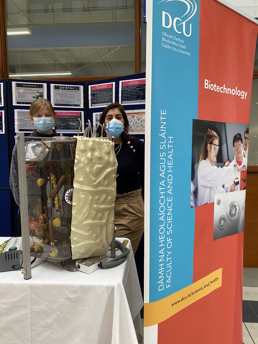 DCUFSH's tweet photo. Did you guys catch @Dcubiotech showing off their HUGE animal cell? π§«
#NovOpenDay https://t.co/eAuYMWSshd