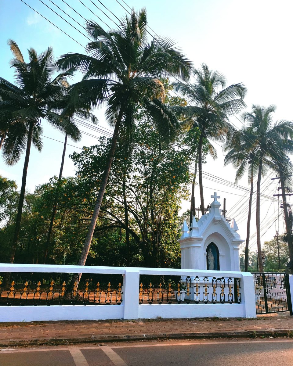 astoldbykanika's tweet photo. Goan Afternoon✨🌻
#goagram #goa https://t.co/AzZmUwTfZn