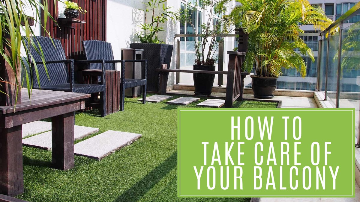 Nurturing_Green's tweet photo. You asked, we answered!
In this video, we're answering some of your frequently asked questions from our highly viewed Balcony Makeover video.

More exciting stuff to come on our YouTube channel, My Plant My Baby.
https://t.co/XHlGiNEhmJ https://t.co/NHEBcRey1d