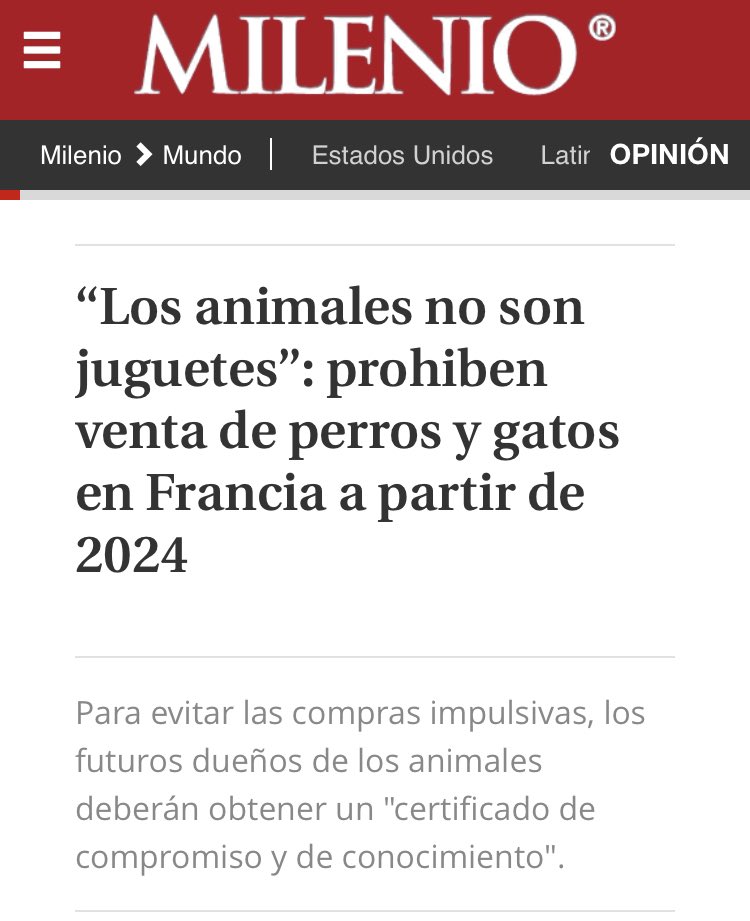 Una de las deudas de Colombia en torno a los derechos de los animales domésticos, está en la regularización efectiva y sancionada de la venta de mascotas: no son juguetes, no son objetos; son seres sensibles, vivos y merecedores de dignidad, respeto y derechos. Bien por Francia.