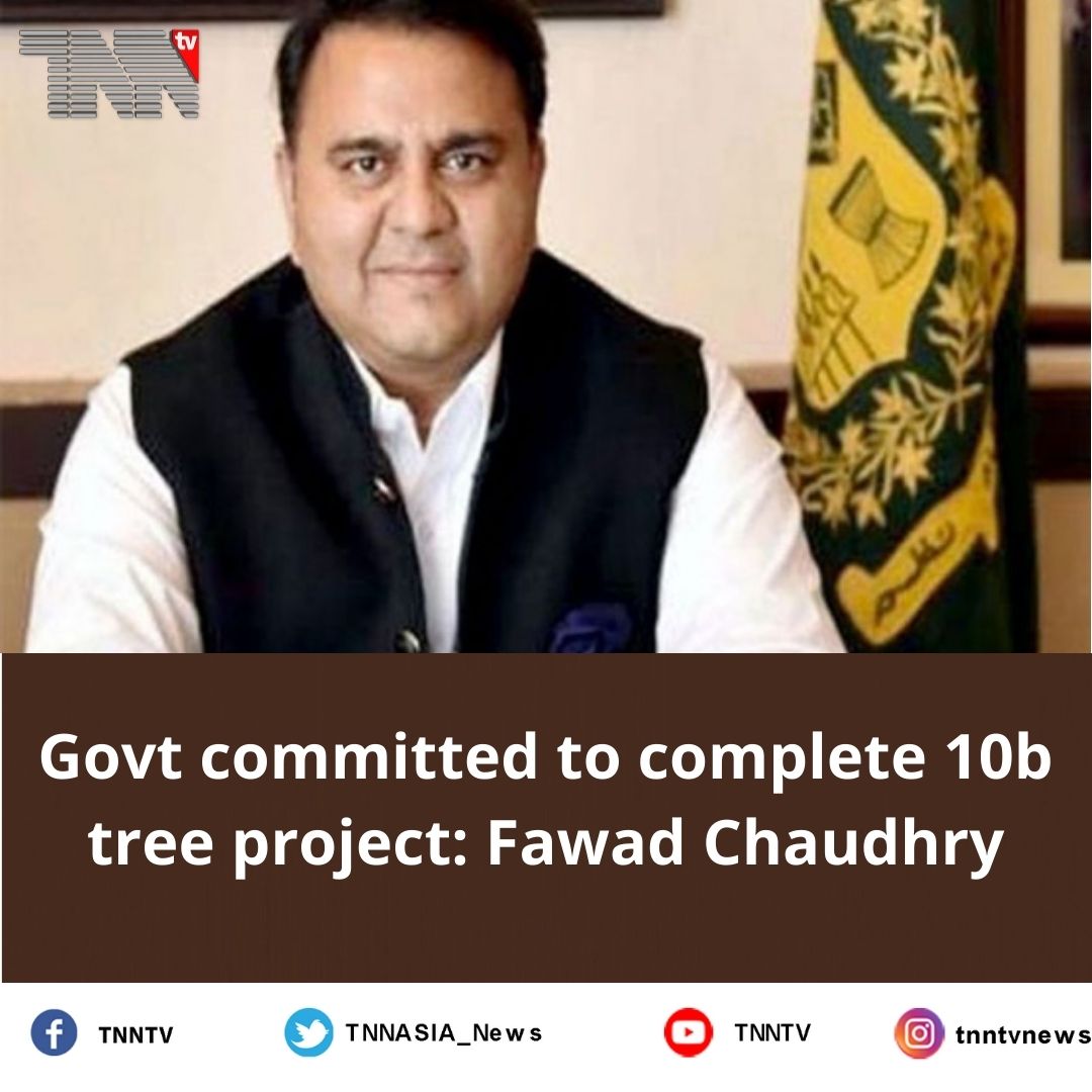 TNNASIA_News's tweet photo. Govt committed to complete 10b tree project: Fawad Chaudhry.

#fawadchaudhry #government #pakistan #billiontreeproject #tnnews https://t.co/bbupYeO9vG