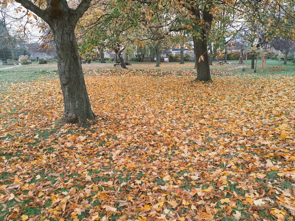 FiltonFerver's tweet image. #FiltonCommunityGarden AGM voted in committee today but still need hands on gardening volunteers #DoE @CVS_southglos @southernbrooks @UWEVolunteering facebook.com/filtoncommunit…