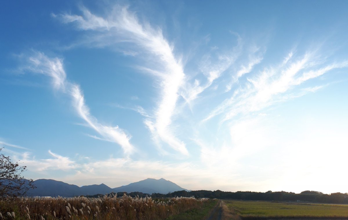bacteria430's tweet photo. 20211119

龍雲😀

#桜川市 #空 #雲 #龍雲 #sakuragawa #sky #cloud #clouds #dragonclouds https://t.co/JmYC0fjk8Y