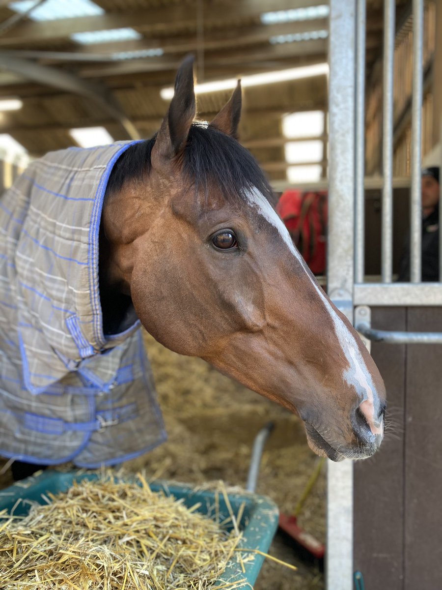 Fergal O'Brien Racing tweet media