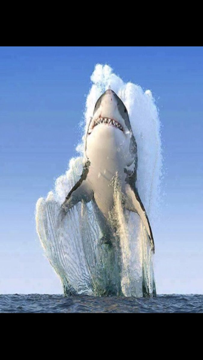 jaingurug's tweet photo. #huge #oceans #nature #weekend https://t.co/XARhFy7yw2