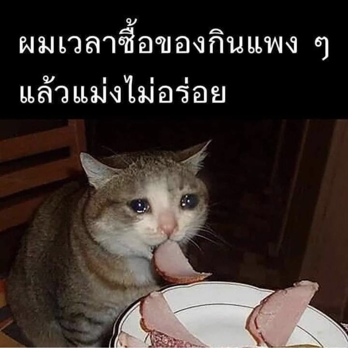 ช่างแม่ง🐰🏳️🌈 tweet media